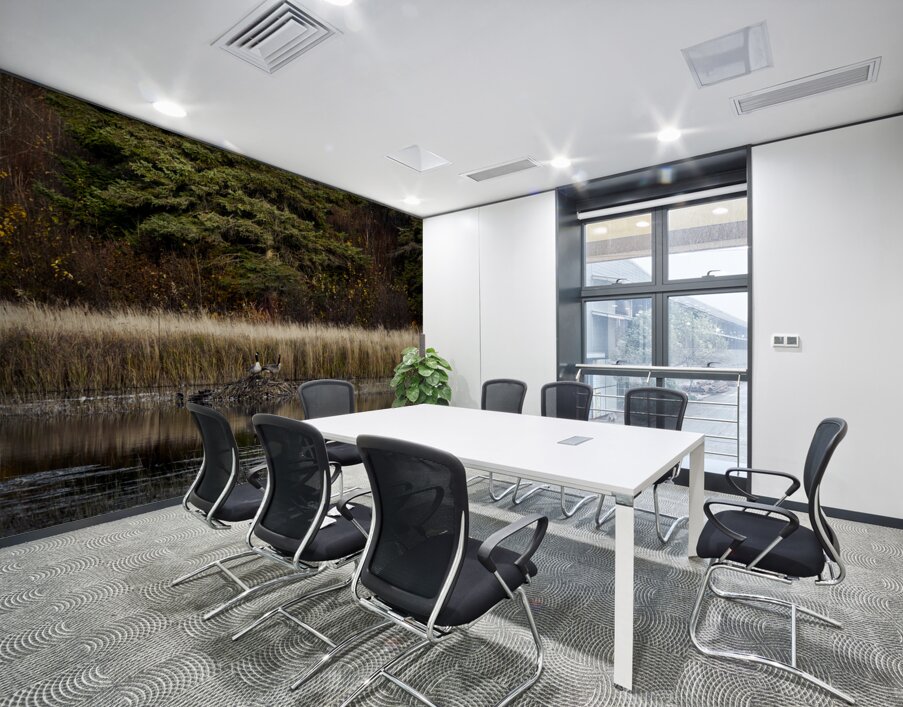 Geese Atop Beaver Hut Wall Printing