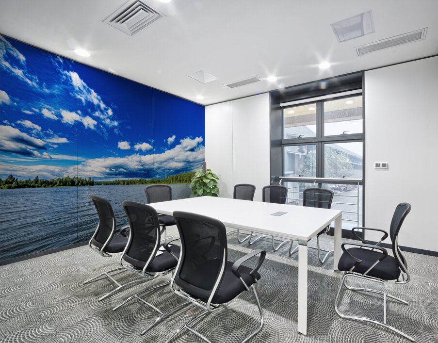 Falcon Lake Wall Printing