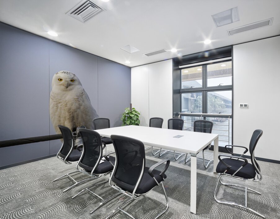 Snowy Owl Wall Printing