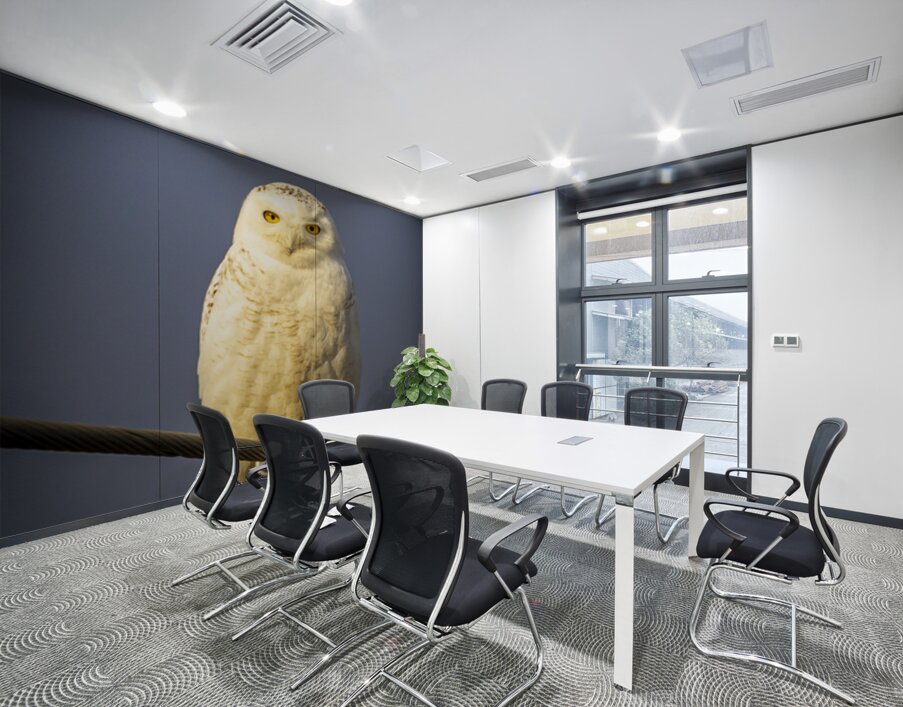 Snowy Owl in the Sun Wall Printing