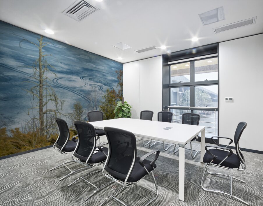 Ice Circles Wall Printing