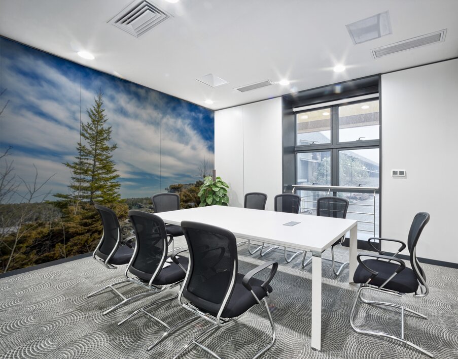 Dragon Fire Trail Wall Printing