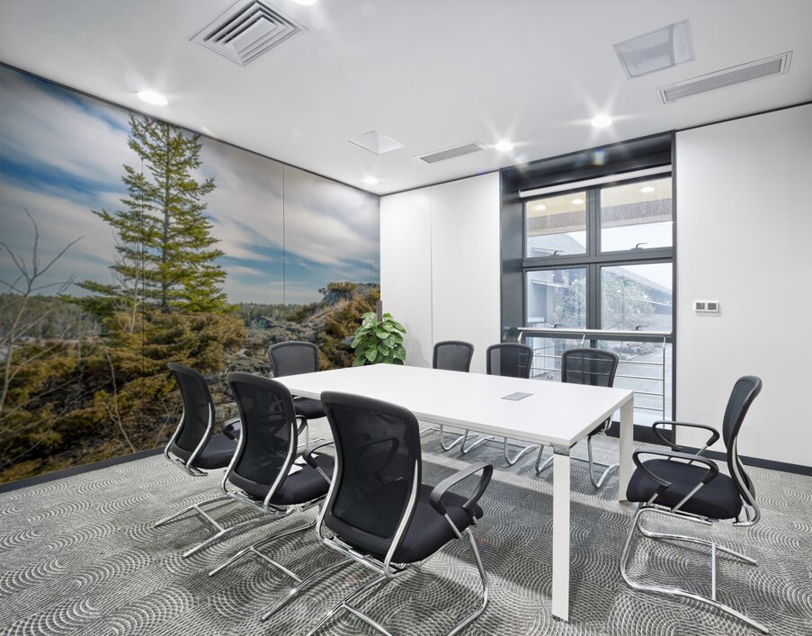 Dragon Fire Trail Wall Printing