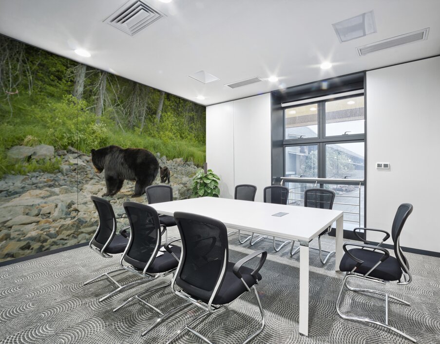 Mama Bear and its Cub Wall Printing