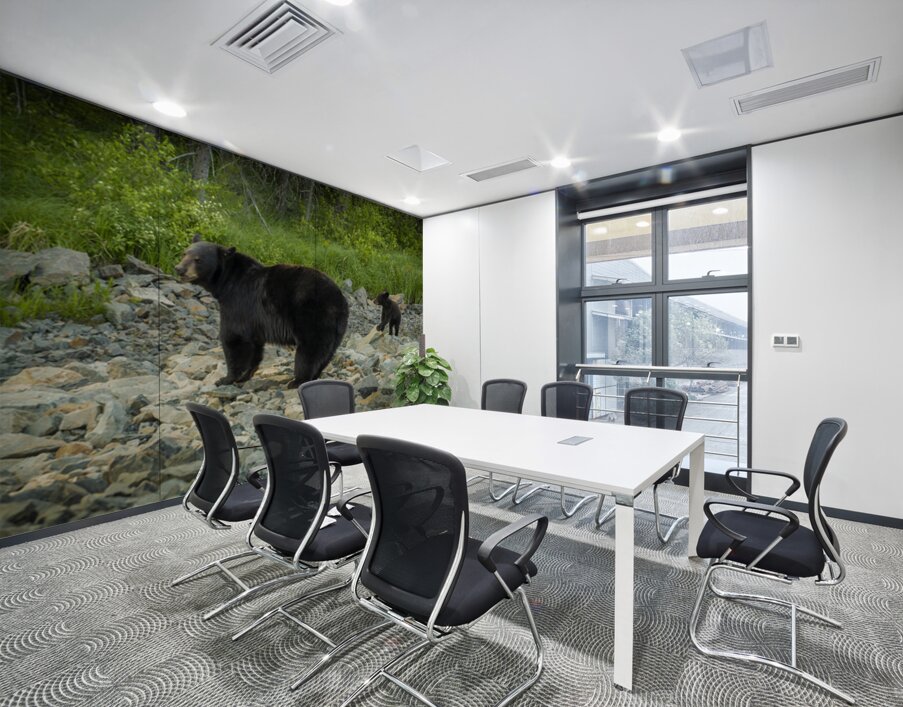 Mama Bear and its Cub Wall Printing