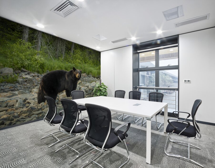 Mama Bear Wall Printing