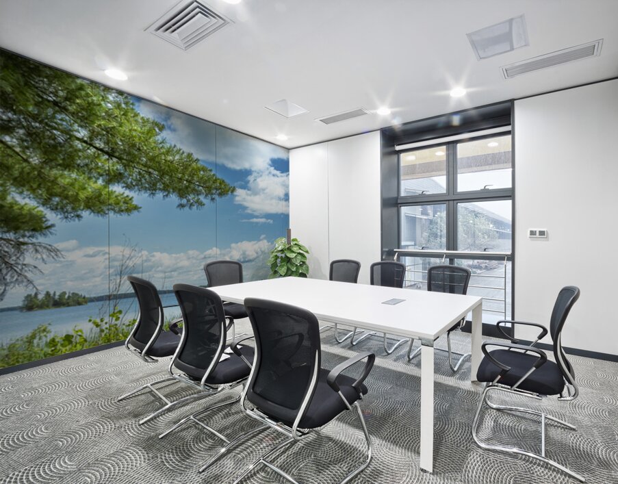 Lake of the Woods View Wall Printing