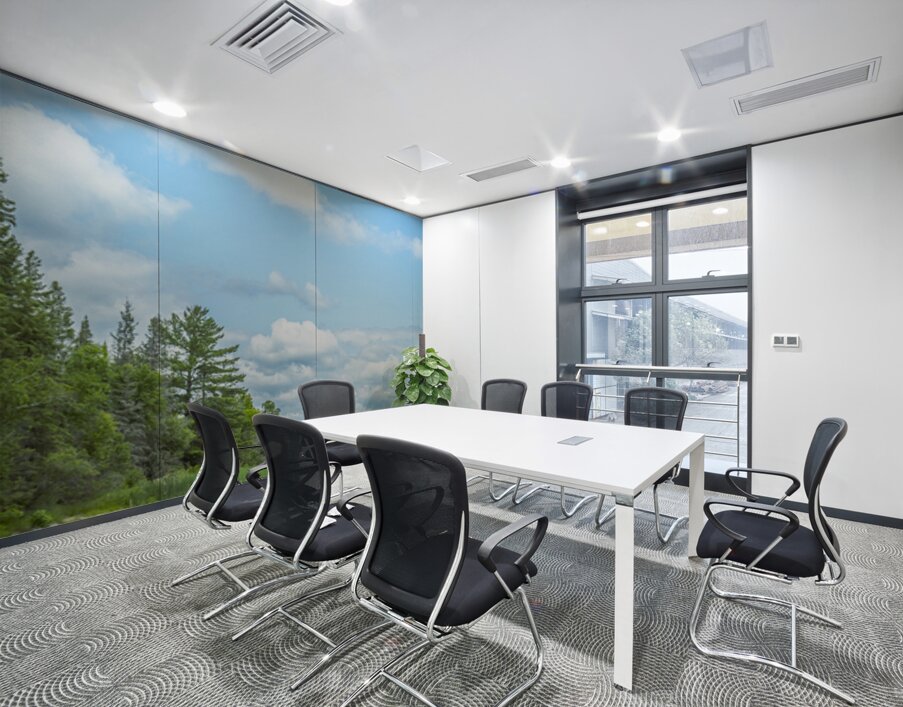 Lake of the Woods View Wall Printing