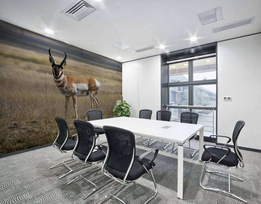 Pronghorn Antelope Wall Printing