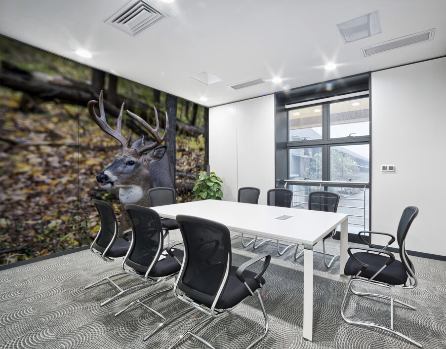 Antlers and Autumn: A Portrait of Natures Beauty Wall Printing