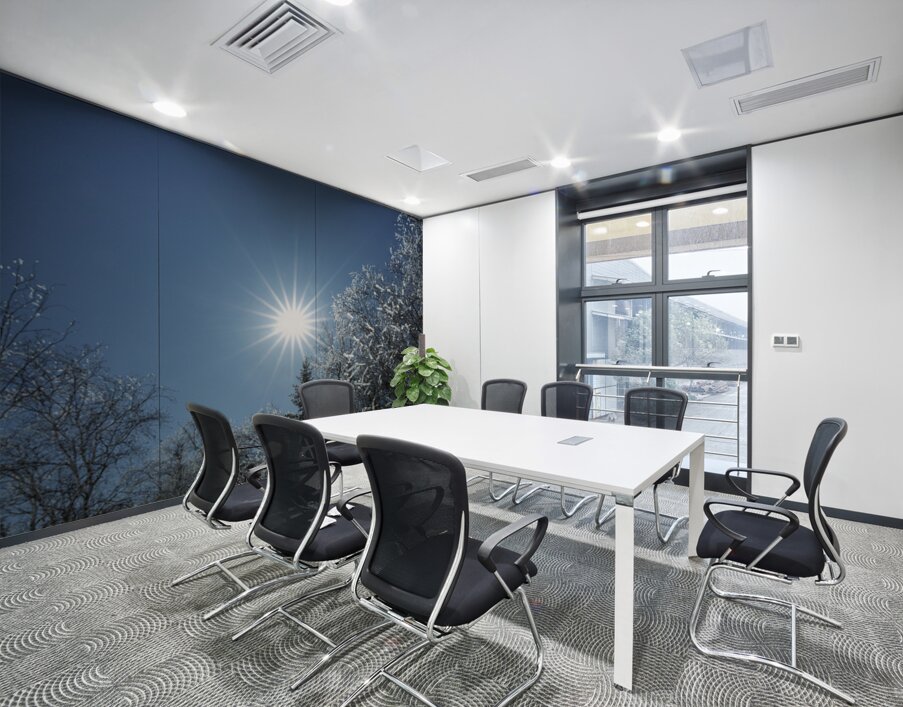 Winter Sunburst Wall Printing