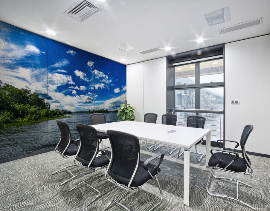 Falcon Lake Wall Printing