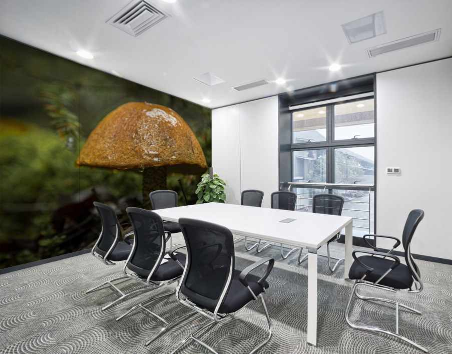 Mushroom after the rain Wall Printing