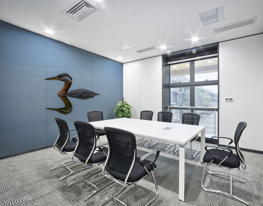 Duck Reflection Wall Printing