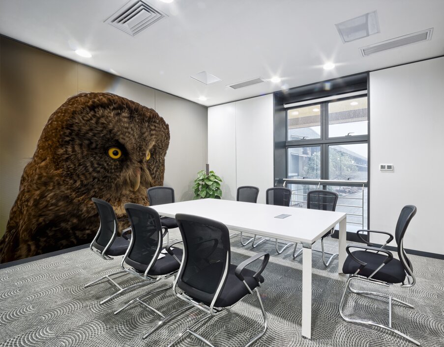 Owl Wall Printing