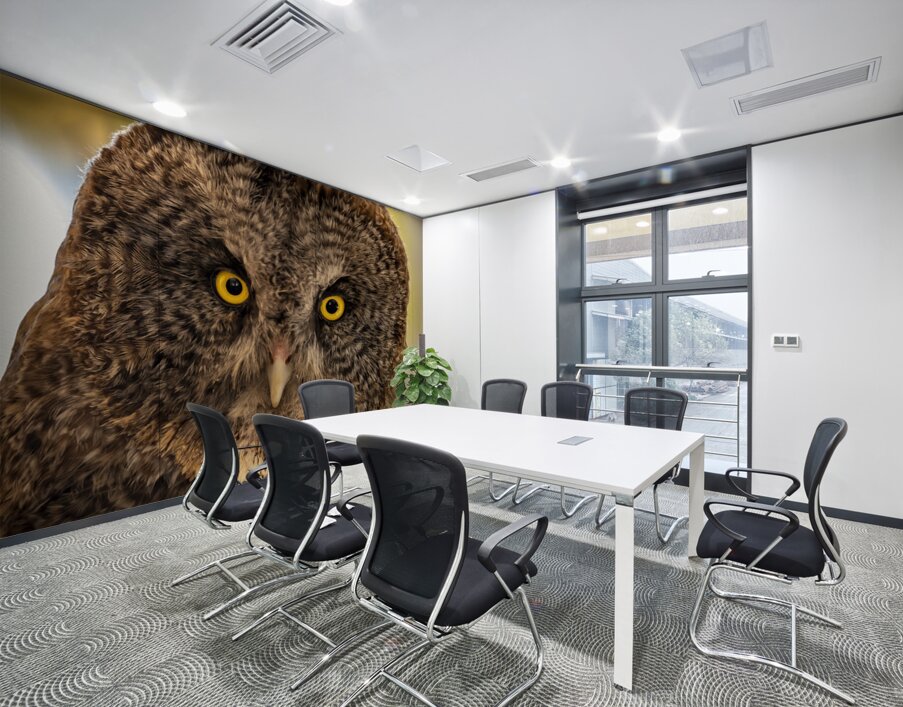 Owls Gaze Wall Printing