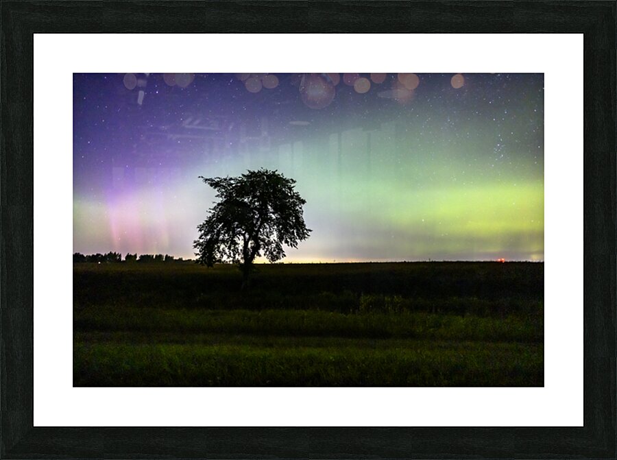 Lone Tree and Northern Lights Picture Frame print