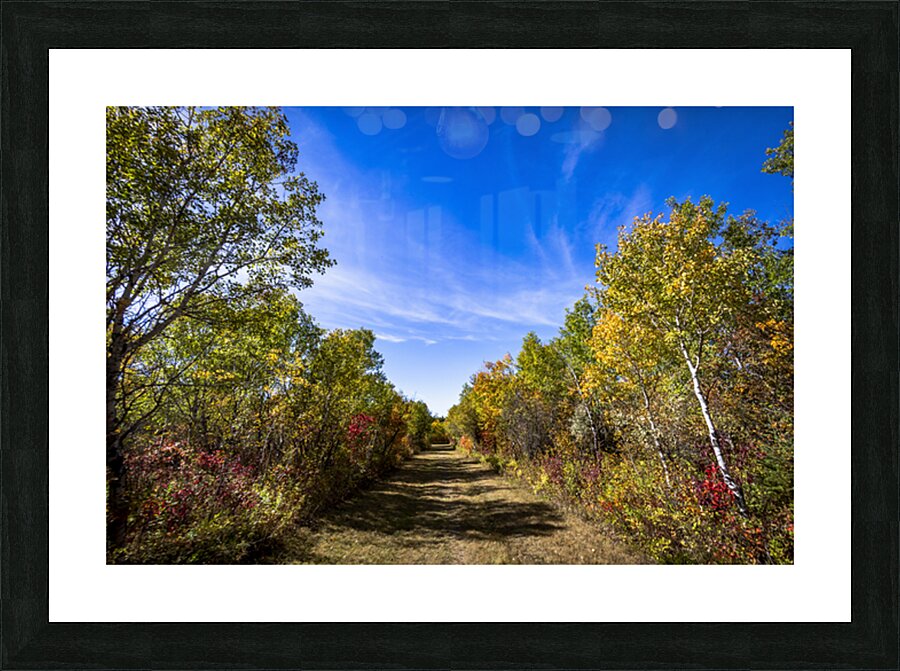 Trail in the Fall Picture Frame print