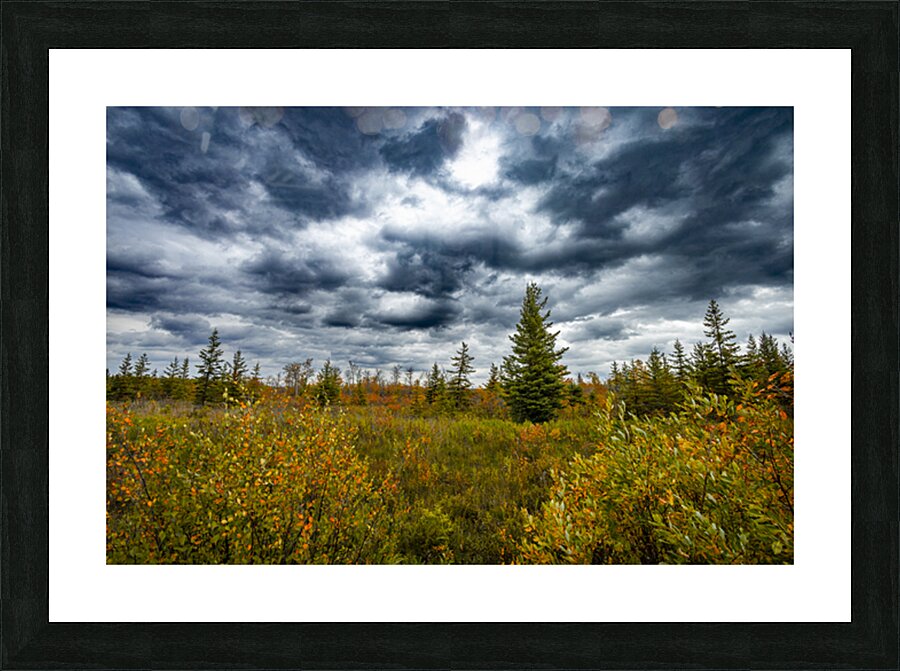 Moody Fall Picture Frame print