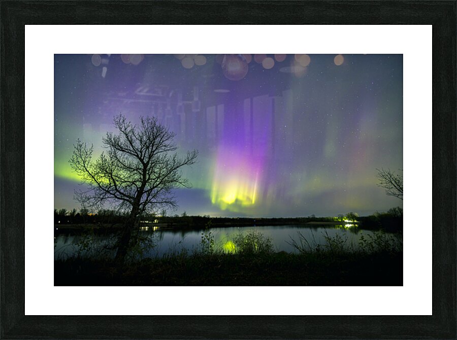 Comet Fall Aurora by lone Tree Picture Frame print