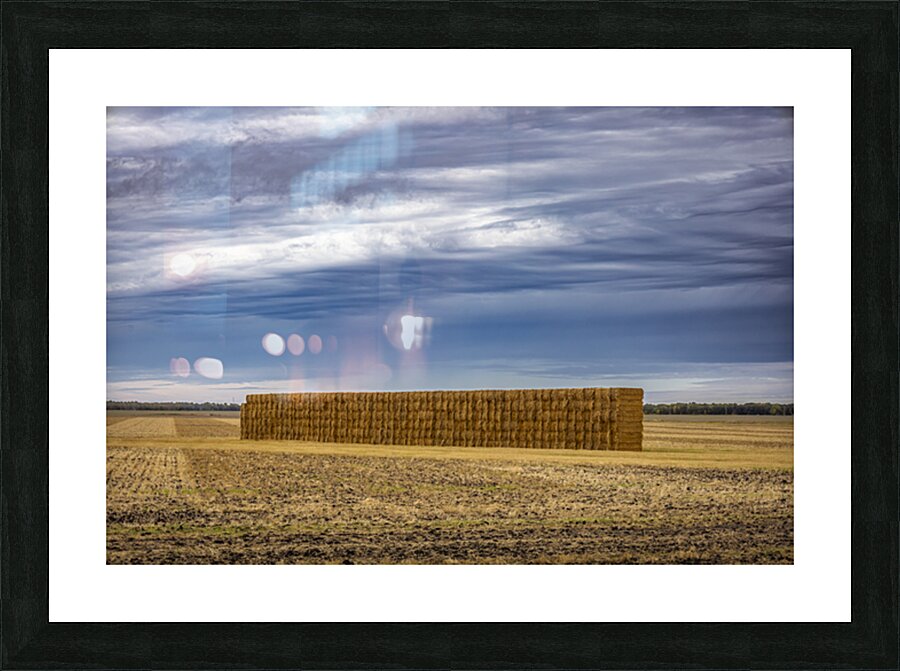 Hay Wall Picture Frame print