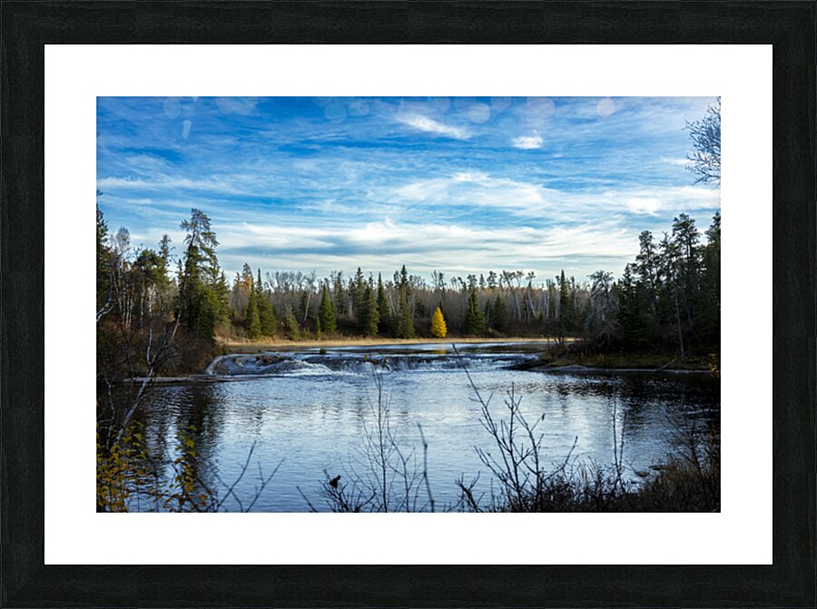 Lone Tamarack Tree Behind the Falls Picture Frame print