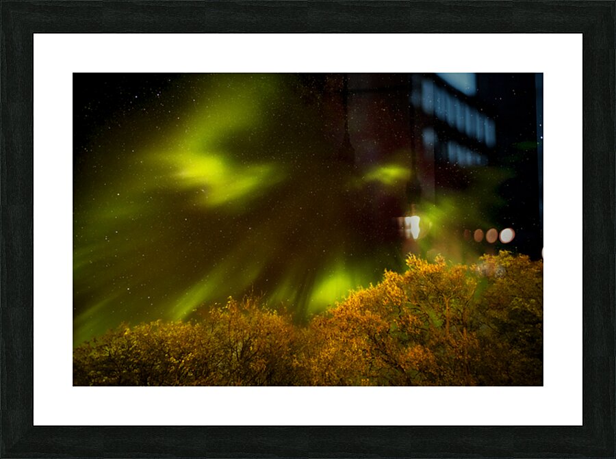 Northern Lights Above the Canopy Picture Frame print