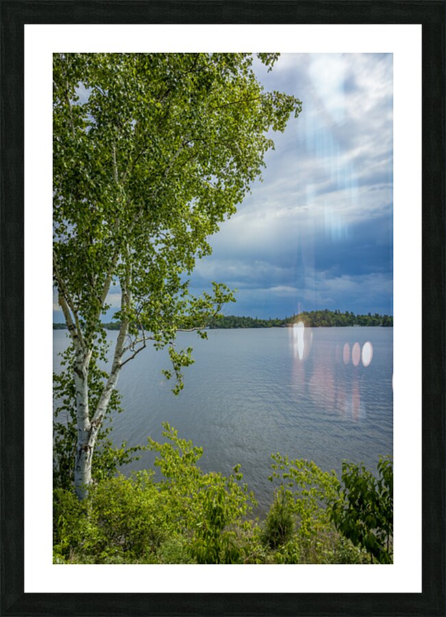 Lake of the Woods Shore Picture Frame print
