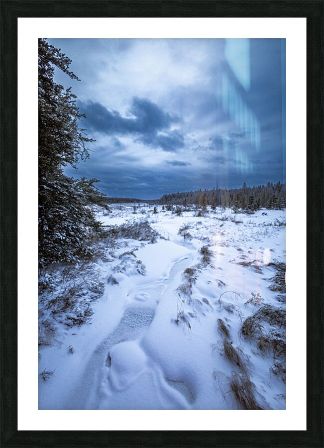 Boreal Stillness Picture Frame print