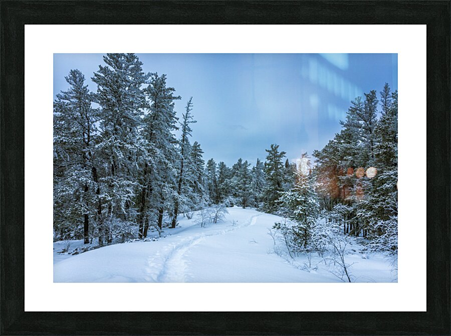 Winter on Hanson Creek Trail Picture Frame print