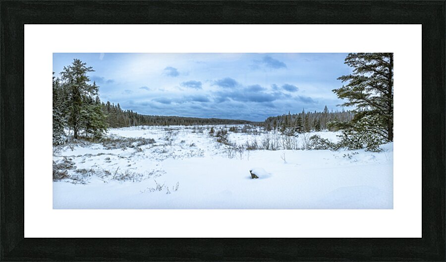 Winter Expanse Picture Frame print