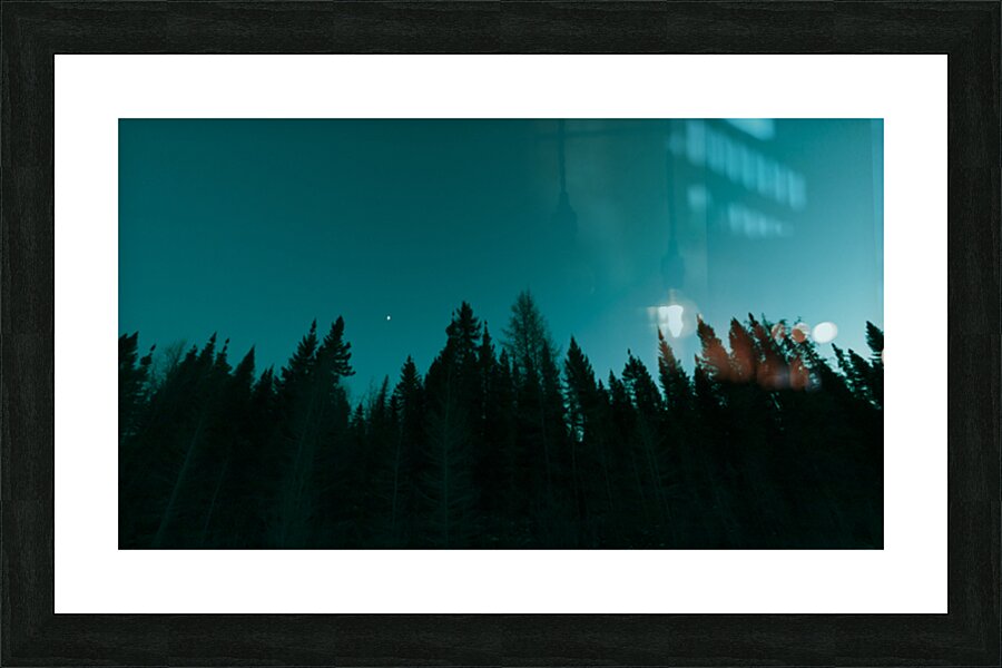 Boreal Silhouette Picture Frame print