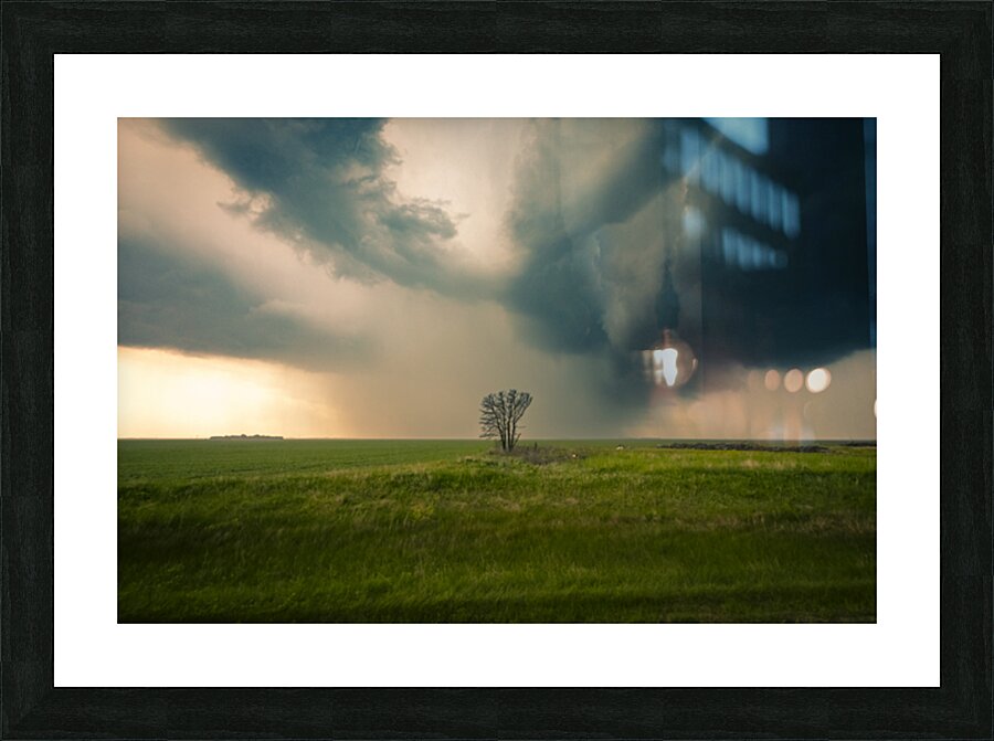 Lone Tree and Incoming Storm Picture Frame print