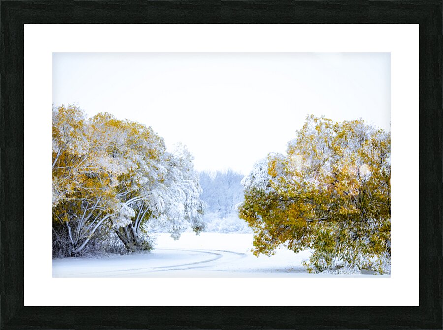 A Path Under the First Snow Picture Frame print