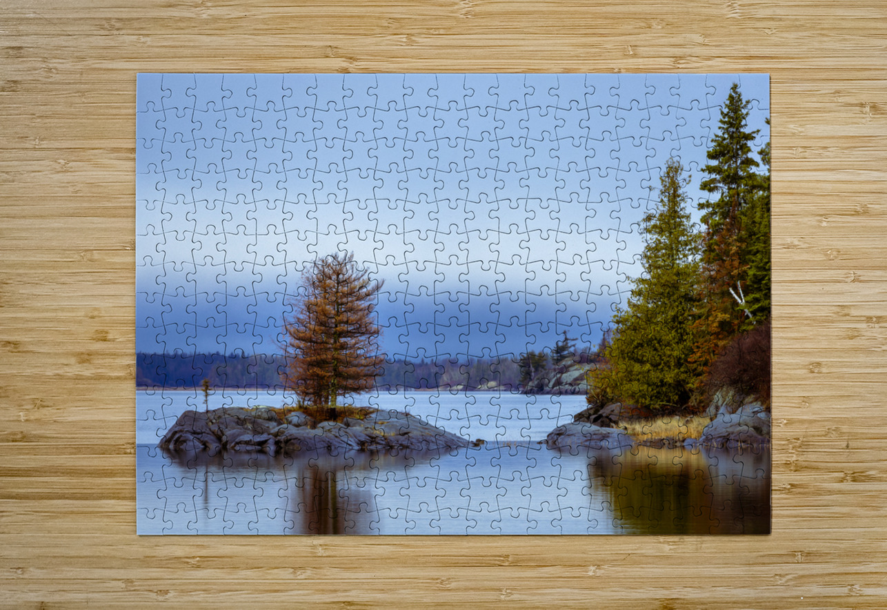 Tree on a Shoal Marc Gilbert Photography Puzzle printing