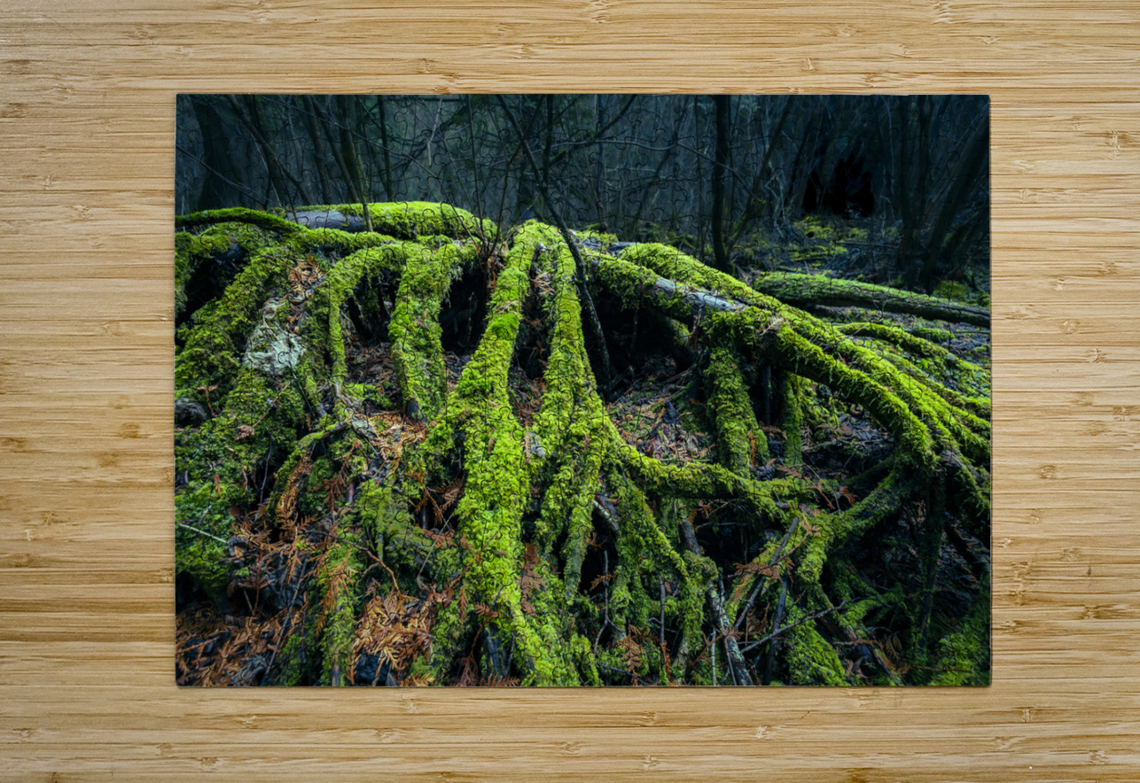 Enchanted Forest Marc Gilbert Photography Puzzle printing