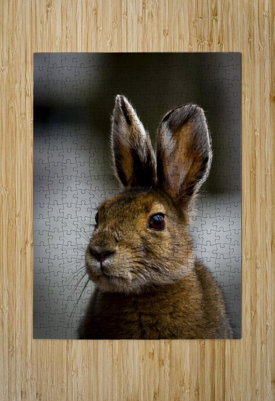 Bunny Marc Gilbert Photography Puzzle printing