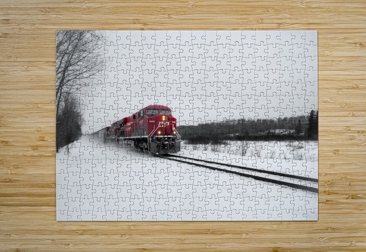 Train After Snowstorm Marc Gilbert Photography Puzzle printing
