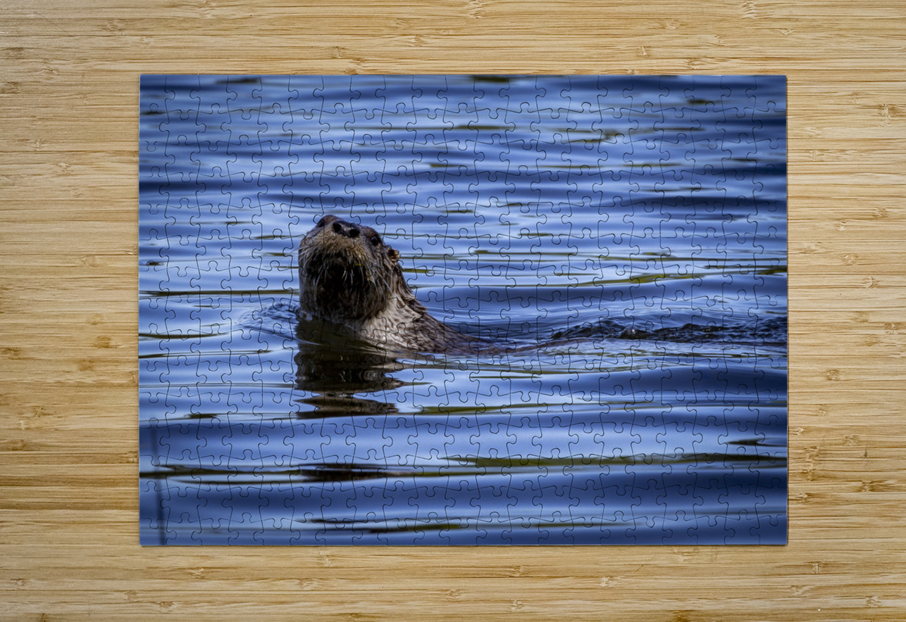 Otter Marc Gilbert Photography Puzzle printing