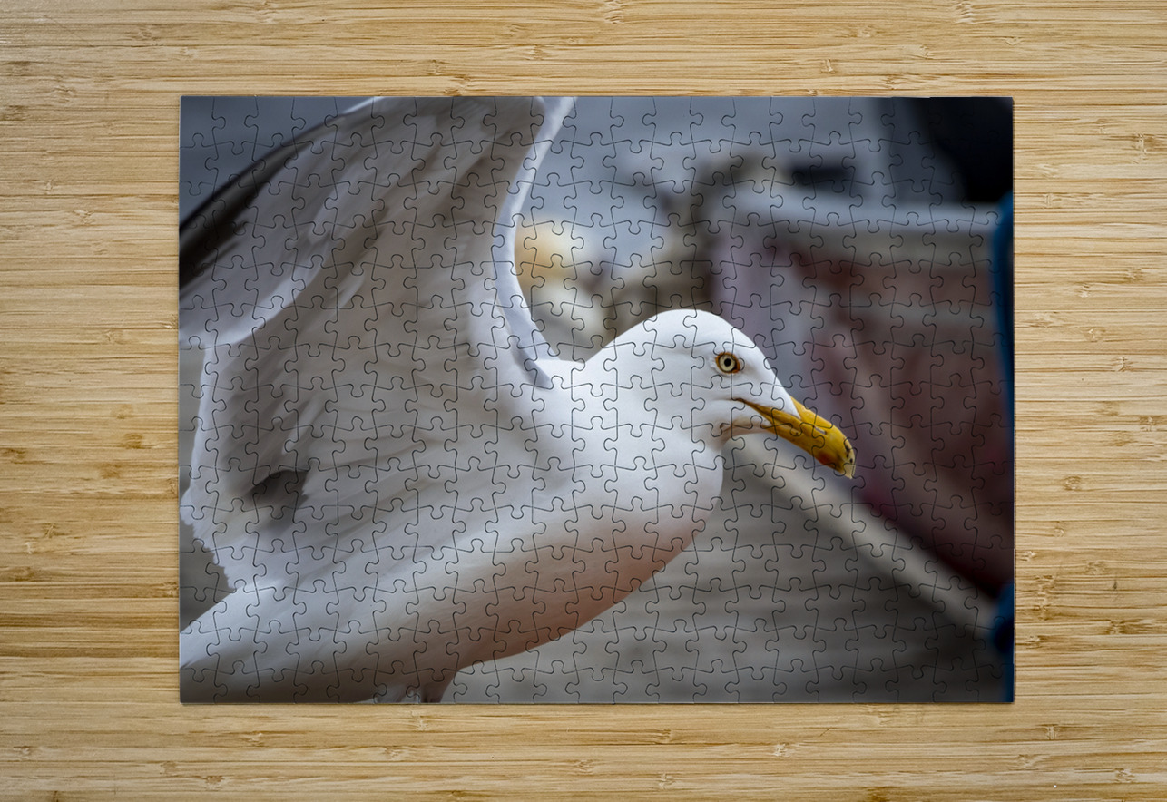Gull Marc Gilbert Photography Puzzle printing
