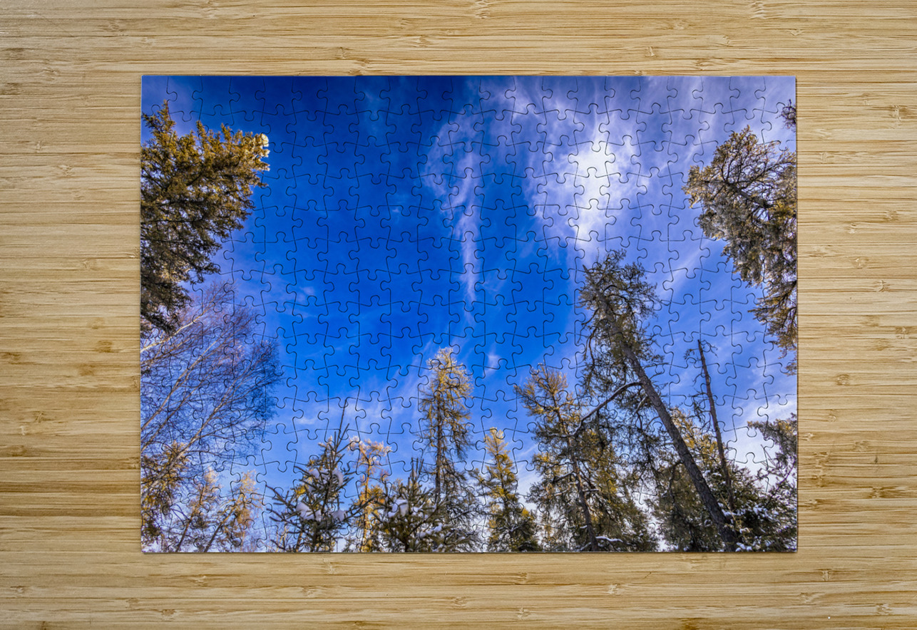 Frosted Trees Marc Gilbert Photography Puzzle printing