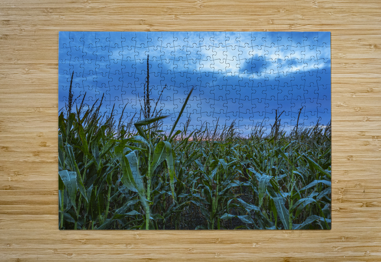 Cornfield at Sunset Marc Gilbert Photography Puzzle printing