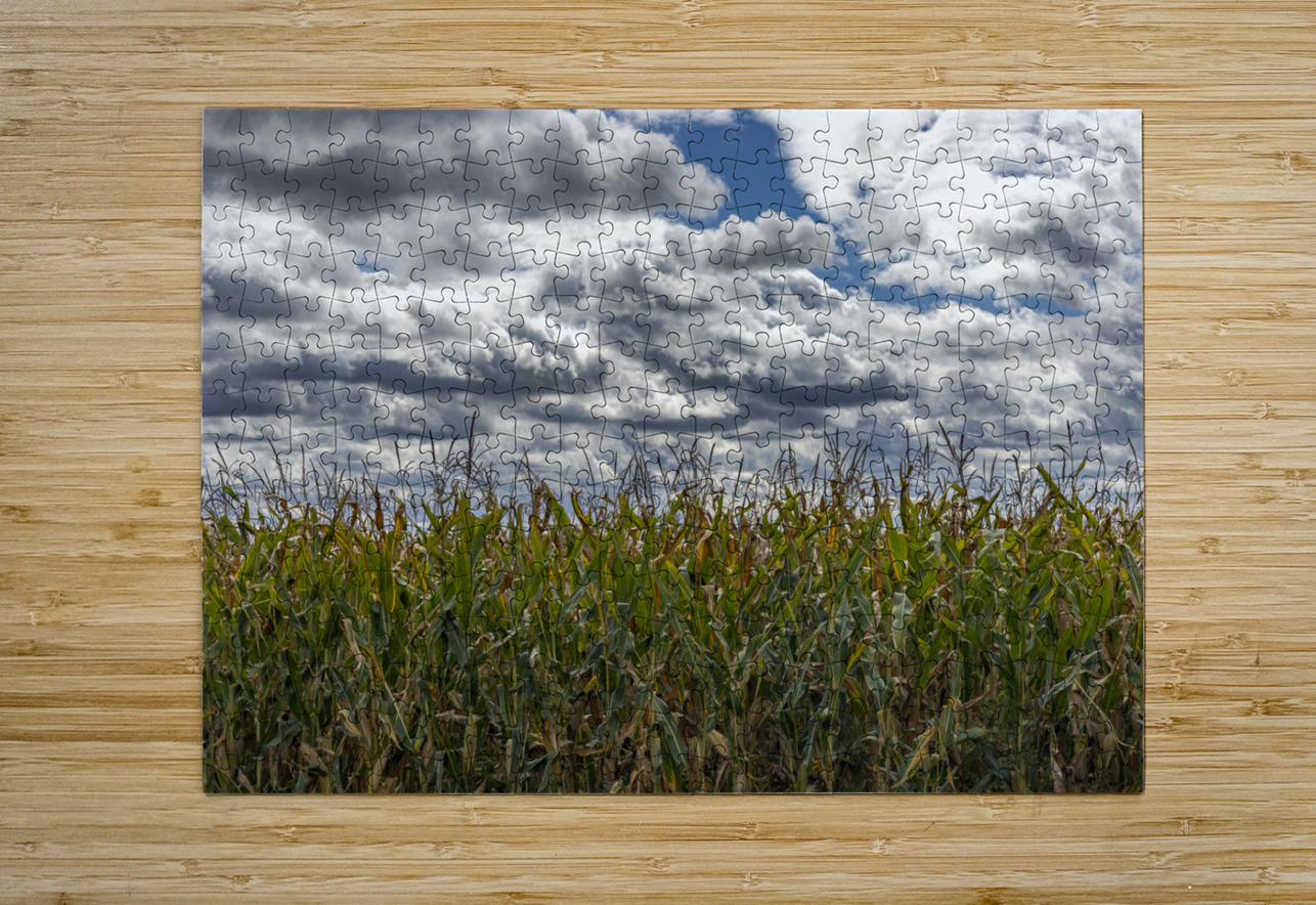 Cornfield Under a Cloudy Day Marc Gilbert Photography Puzzle printing
