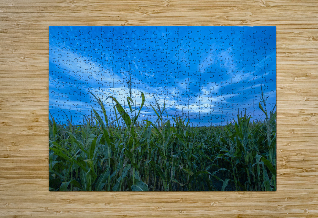 Cornfield at Sunset Marc Gilbert Photography Puzzle printing