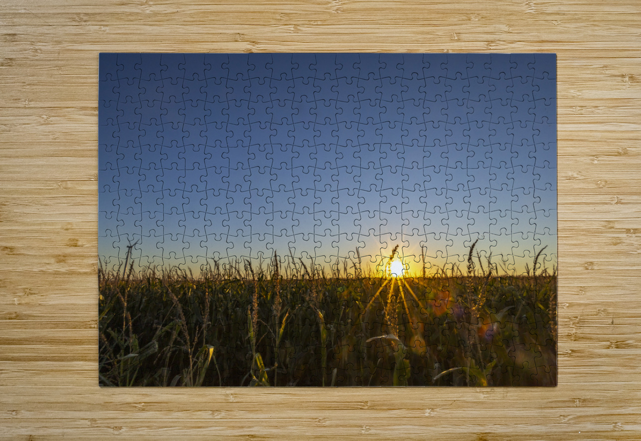 Sunset in the Cornfield Marc Gilbert Photography Puzzle printing