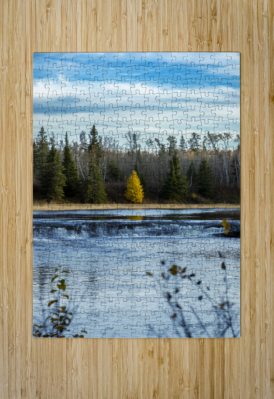 Lone Tamarack Behind the Falls Marc Gilbert Photography Puzzle printing