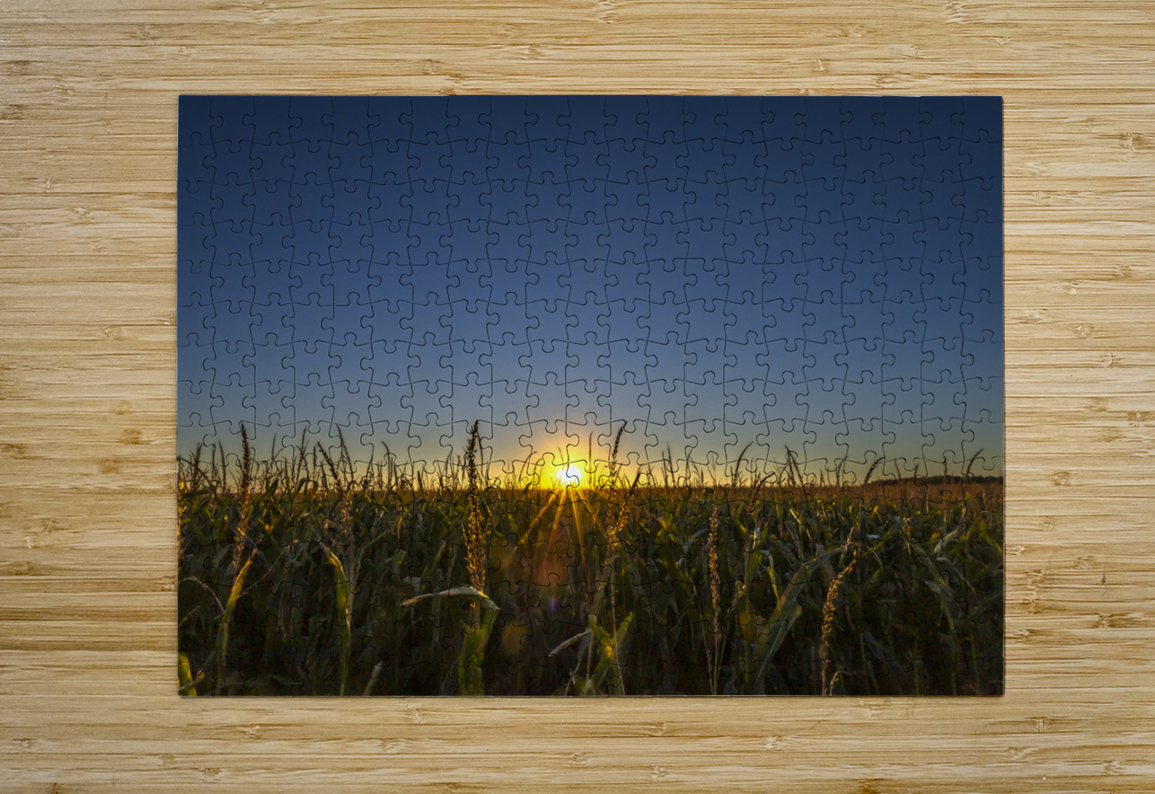 Sunset in the Cornfield Marc Gilbert Photography Puzzle printing