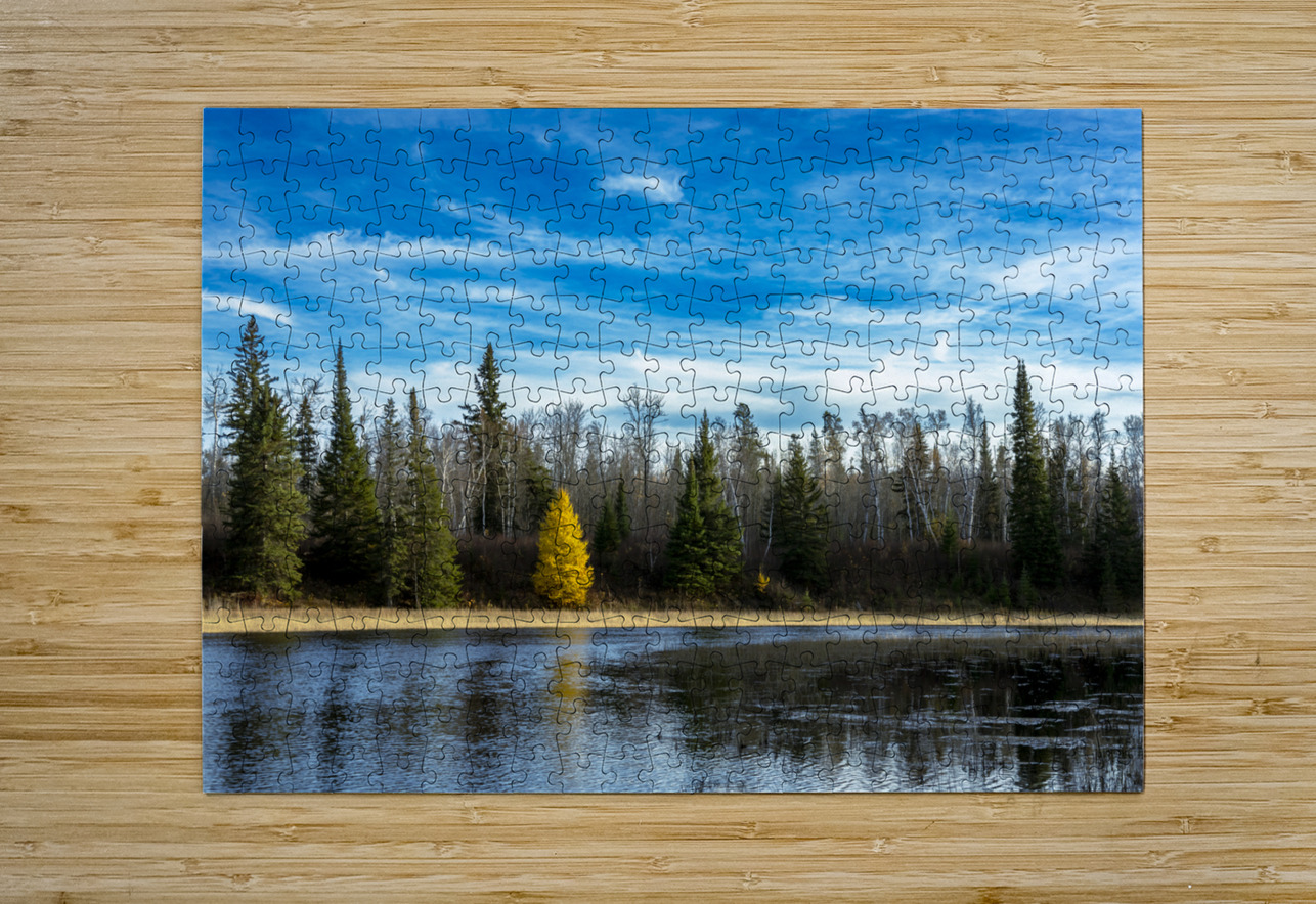 Lone Tamarack Tree Reflection Marc Gilbert Photography Puzzle printing
