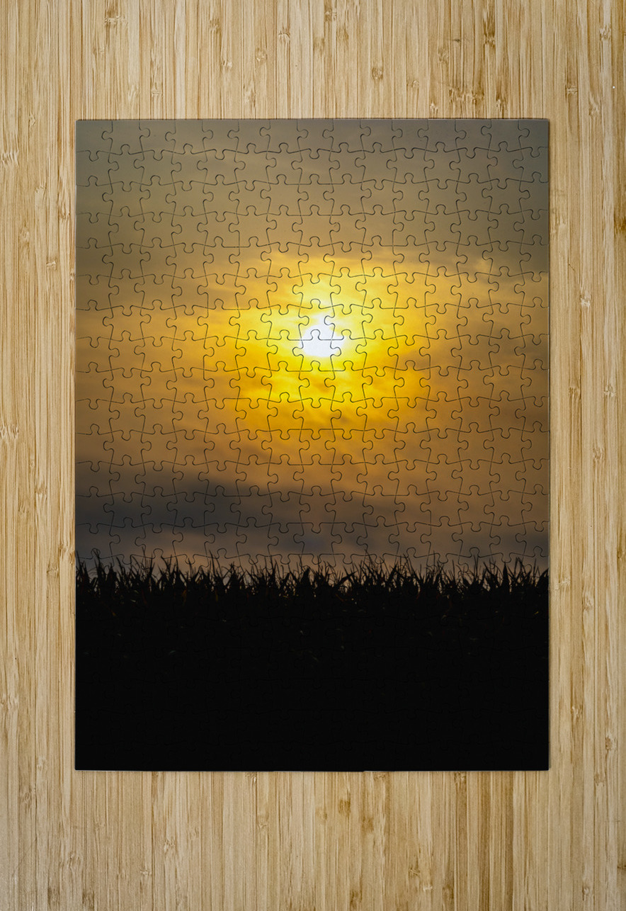 Hazy Sunrise Above Corn Field Marc Gilbert Photography Puzzle printing
