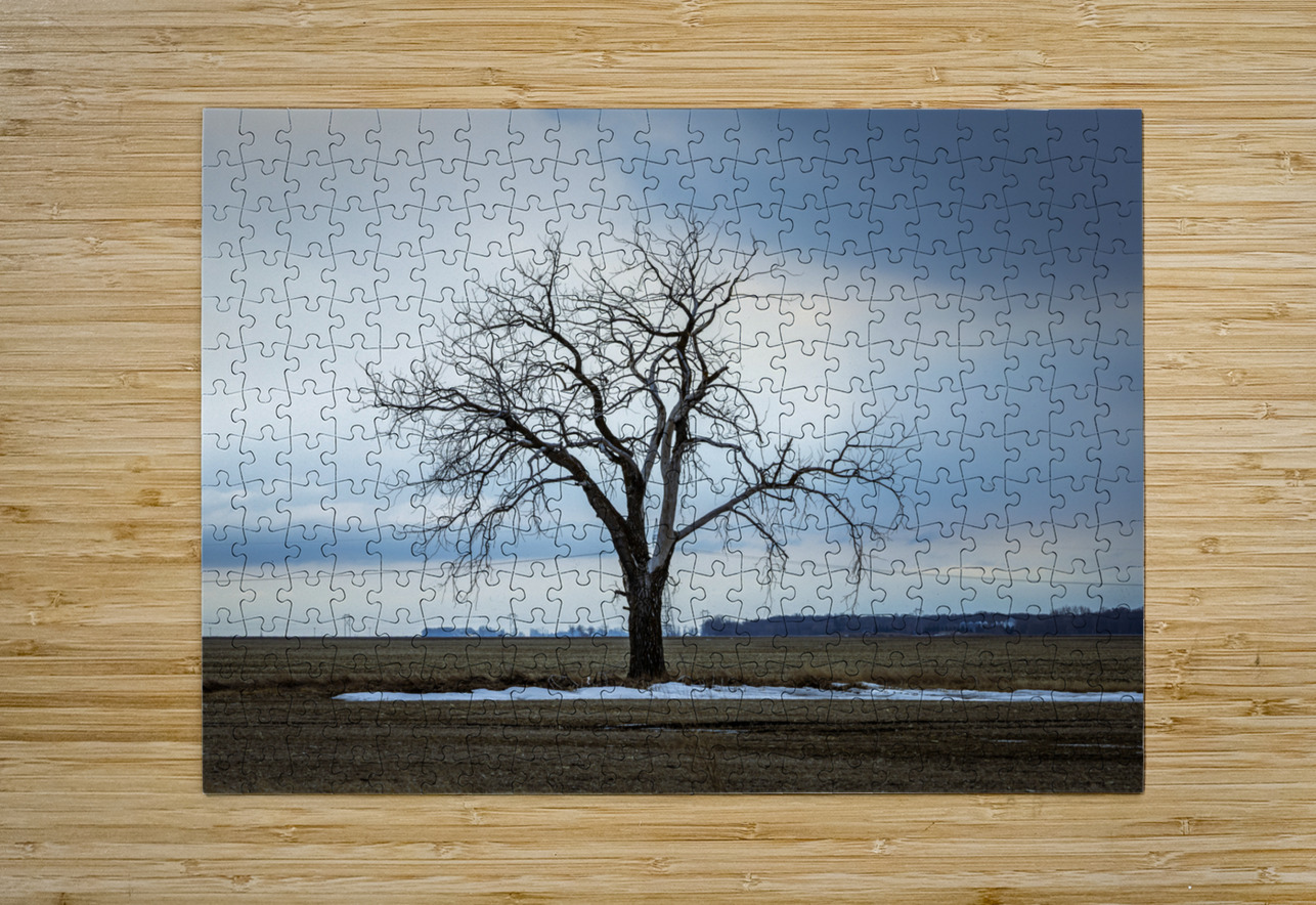 The Last Stand Marc Gilbert Photography Puzzle printing